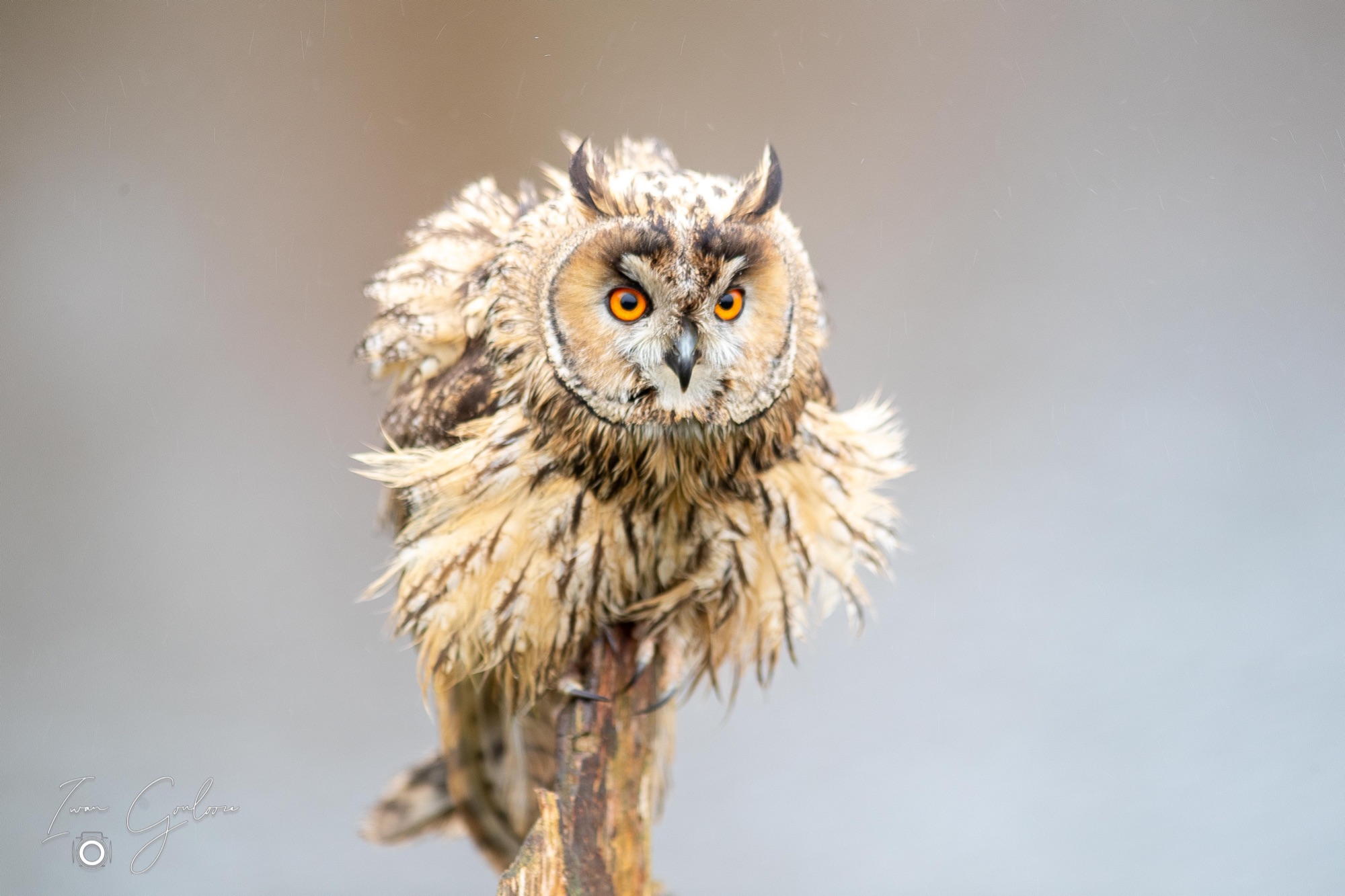 1DX46410 12 december 2021 1326 32